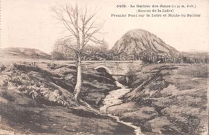 07-GERBIER DES JONCS-N��3867-B/0335 - Bild 1 von 2
