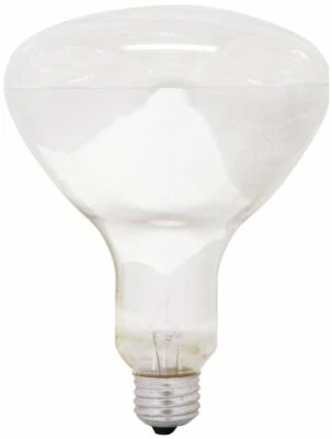 GE Lighting 21229 Soft White 300-watt R40 Light Bulb with Medium Base, 1-Pack - Image 1 of 2