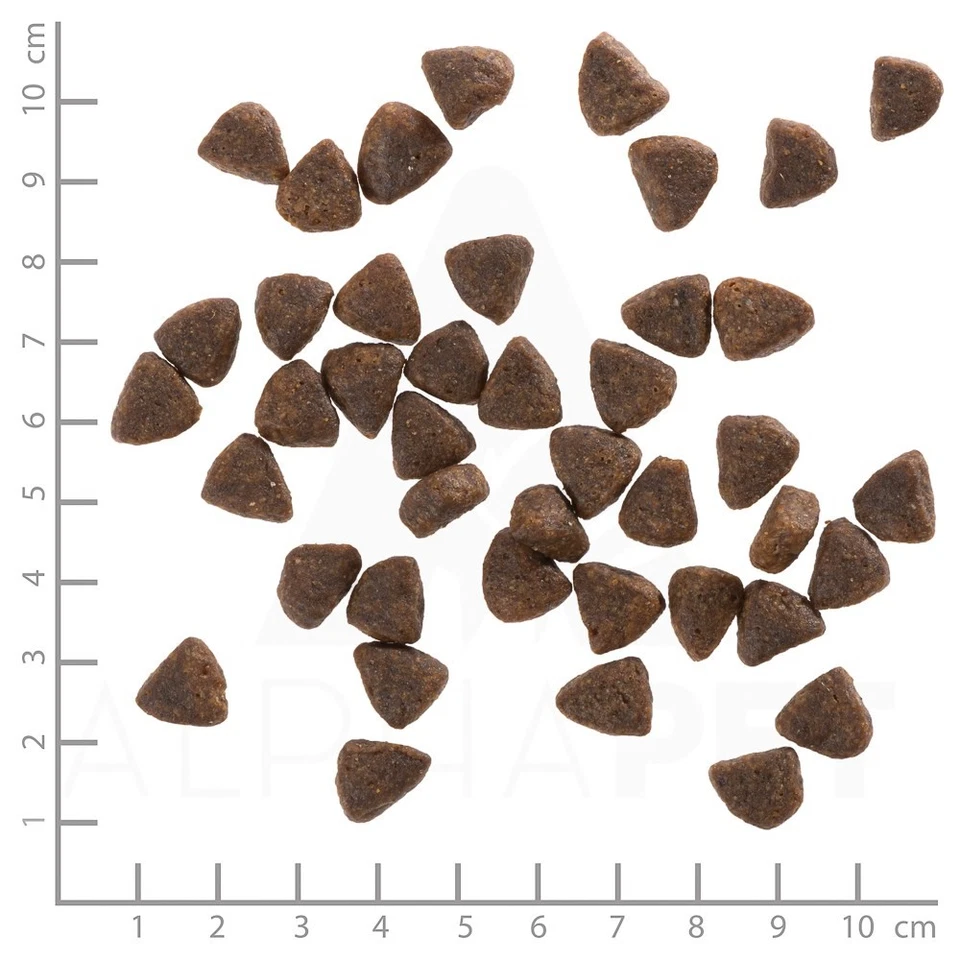 4260262764522 WOLFSBLUT Wide Plain Small breeds Horse with sweet potatoes - troc - Bild 1 von 2