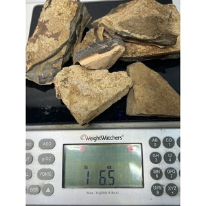 1lb 6oz Bat Cave Jasper Ochoco Mt., Crook Co Oregon Lapidary Rough For Cabbing - Picture 1 of 4