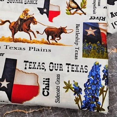  TEXAS Lone Star State  Symbols Cotton Fabric Sara Khammash For Moda Japan - Image 1 of 4