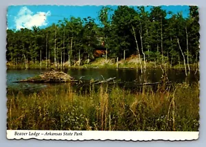 Postkarte Vintage gestempelt 1984 Arkansas Beaver Lodge Tier Natur 4 x 6 - Bild 1 von 2