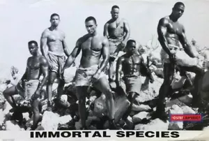 Unsterbliche Spezies Schwarz-Weiß Foto Poster 22 x 32 - Bild 1 von 1