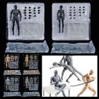 Movable Anime Figure Male Female Body Chan Joint Draw Mannequin  Sketch Draw