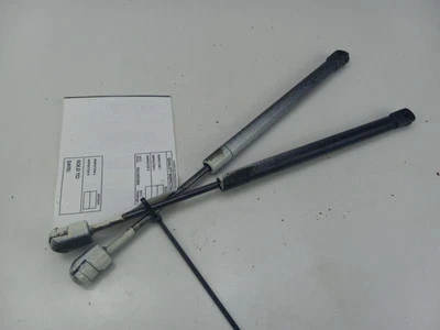 Ford F150 1999 puntales de soporte para capó elevador izquierdo derecho Foto 1 de 4