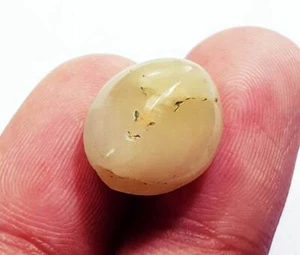 100% Natural Cat's Eye 11.20 Ct Loose Gemstone Oval Shape Certified - Picture 1 of 5