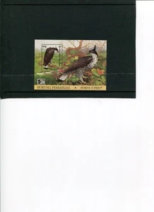 1996 MALAYSIA Birds of Prey (Spizaetus alboniger) CHINA'96 O/P S/S MNH. - Imagen 1 de 1