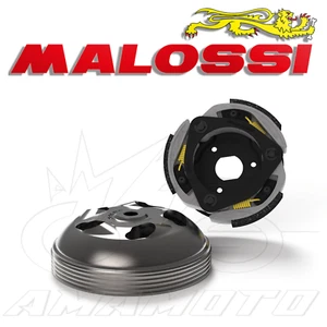 KIT FRIZIONE E CAMPANA MAXI DELTA SYSTEM MALOSSI HONDA JAZZ 250 4T LC 2001> - Imagen 1 de 2