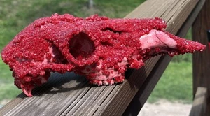 Crystallized Blood Red Deer Skull Handmade - Picture 1 of 12