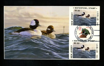 US FDC NJ New Jersey State Duck Stamp 1993 Buffleheads Cape May B Miller #11/27 - Image 1 of 3