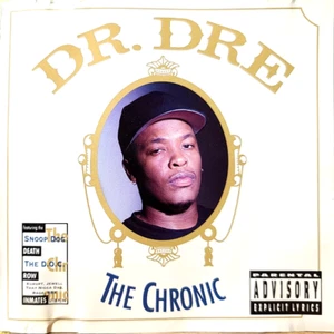 DR. DRE The Chronic CD 1992 PRIORITY INTERSCOPE RECORDS DISC IS NEAR MINT - Picture 1 of 3