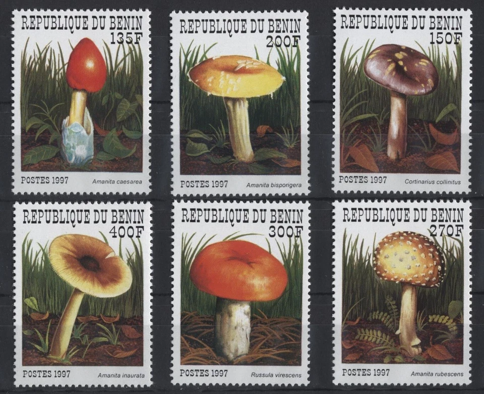 Benin 1997 Mushrooms 6 MNH Stamps. - Image 1 of 1