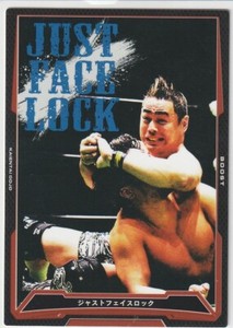 Taka Michinoku 2016 Bushiroad King of Pro Wrestling #BT18-091-C