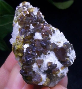 38 mm Gema Esfalerita Racimo en Cristal de Cuarzo Espécimen Mineral 2491 - Imagen 1 de 4