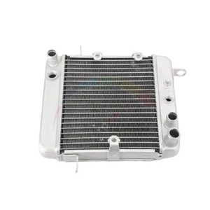 Engine Cooling Radiator Cooler For Honda PS250 Big Ruckus 2006 19010-KTB-003 - Picture 1 of 5