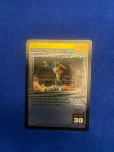 WWE Raw Deal Card High Spirits for The Spirit Squad  - Picture 1 of 6