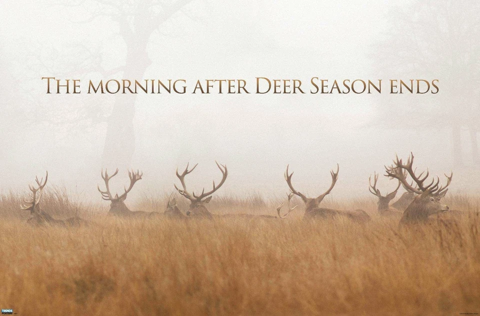 Hunting - The Day After Poster - Image 1 of 1