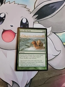 MTG Into the North Coldsnap Regular W5 - Imagen 1 de 1