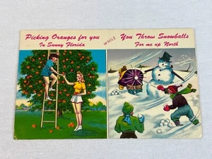 Vintage 1964 Postcard Florida Comic Funny Picking Oranges Snowballs - Picture 1 of 7