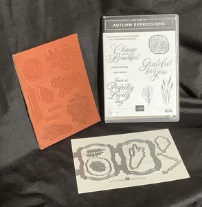 Juego de estampillas y troqueles Stampin Up AUTUMN EXPRESSIONS paquete marco colgante de madera - Imagen 1 de 4