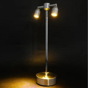 Double-headed Spotlight Student Office Led Desk Lamp Rechargeable Table - Picture 1 of 12