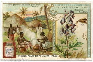 Chromo. Liebig. Poisonous Plants. S. 792. 1904 - Picture 1 of 2