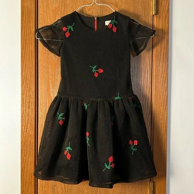 David Charles Black Label Girls Dress 7 YO mesh embroidery strawberry Whimsigoth - Image 1 of 4