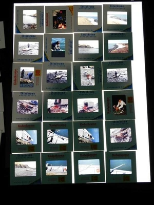 Togiak Alaska Años 70 Lote 39 Diapositivas de Película Fotos Morsa Esquimal Foca Caza Arpón Foto 1 de 4