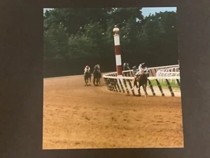 SECRETARIAT   Photo Horse Racing 1973 BELMONT STAKES - Picture 1 of 2