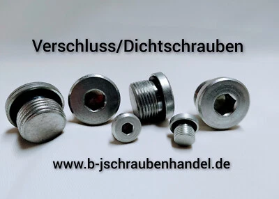 Verschlussschrauben NBR-Dichtung/Dichtring Fein-/Rohrgew. ähnl. DIN 908 verzinkt