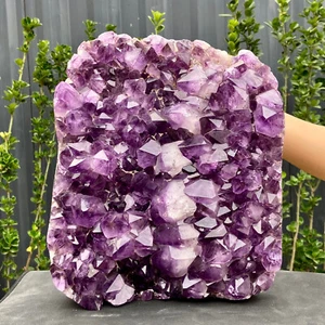 20LB Ametista Naturale Agata Geode Quarzo Grappolo Cristallo Esemplare Guarigione - Foto 1 di 14