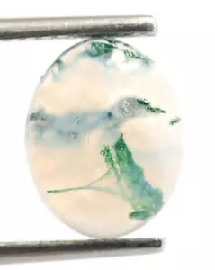 Piedra preciosa suelta ovalada de musgo de la mejor calidad de 10x8 mm para hacer joyas de 2,50 quilates - Imagen 1 de 6