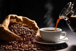 3 Beutel Tampa Bay Mischung frisch geröstet ganze Bohne Kaffee Gourmet Kaffee - Bild 1 von 2