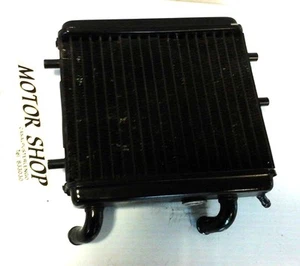 RADIATORE ACQUA APRILIA LEONARDO 125 1996 1997 1998 COD. AP8102405 - Foto 1 di 1