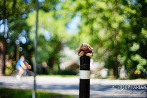 Radioactive TOMIOKA 55/1.2 (Revuenon) | M42 | Near mint, impressive SAMPLES - Picture 1 of 15