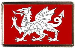 English White Dragon Silver Colour Badge With A Velveteen Bag - Picture 1 of 4