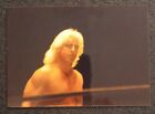Photo originale Ric Flair 3,5x5 vintage cavaliers de lutte NWA WCW