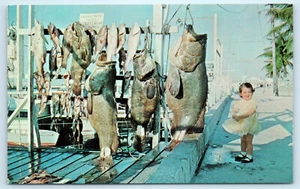 Key West Florida Angeln Charter Postkarte Vintage - Bild 1 von 3