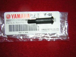Yamaha YZF600 Thundercat 96-02 Brake Lever Pivot Bolt. Genuine Yamaha. New B26E - Picture 1 of 1