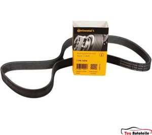 CONTINENTAL 7PK1076 Keilrippenriemen Keilriemen Fiat Ducato 2.3 D Multijet JTD - Bild 1 von 1