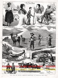 Perú y Bolivia Guerra del Salitre del Pacífico Guerra, Llama, Gran Impresión Antigua Años 1870 - Imagen 1 de 5