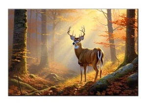 Whitetail Deer in Autumn Forest Morning Light-Art Print-Home Wall Decor-Fun Gift - Picture 1 of 10
