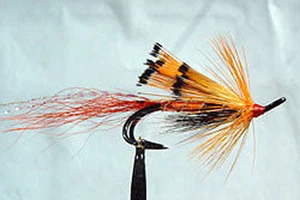 1 x mouche Saumon ALLY SHRIMP DOUBLE hook salmon fly fliegen steelhead hairwing - Photo 1/1
