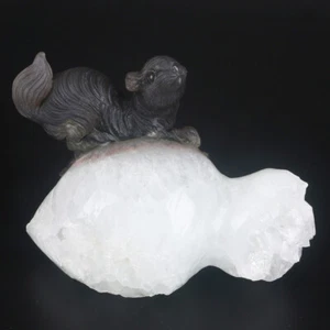 Scoiattolo animale scoiattolo scoiattolo scoiattolo geode naturale 5,6" Geode naturale 1055 g - Foto 1 di 8