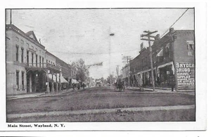 Wayland, NY - Main Street - Picture 1 of 2