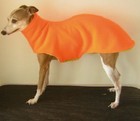 *CUSTOM* ANY SOLID COLORS ITALIAN GREYHOUND SPEEDO COAT with matching SNOOD