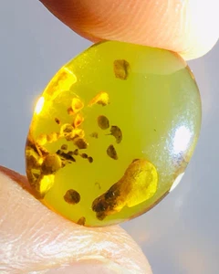 Cretaceous Fossil Burmese amber burmite insect mushroom amber Fossil Myanmar - Picture 1 of 5
