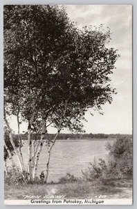 Postkarte RPPC Weiße Birken Grüße aus Petoskey Michigan 1946 - Bild 1 von 2