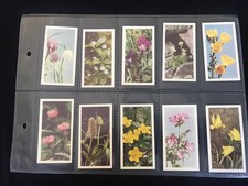 Brooke Bond Wild Flowers Series 1 Set Of 50 + Empty Unused Album