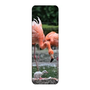 MARCADOR NOVEDAD PÁJARO FLAMENCO MISMA IMAGEN AMBOS LADOS GRAN REGALO - Imagen 1 de 1